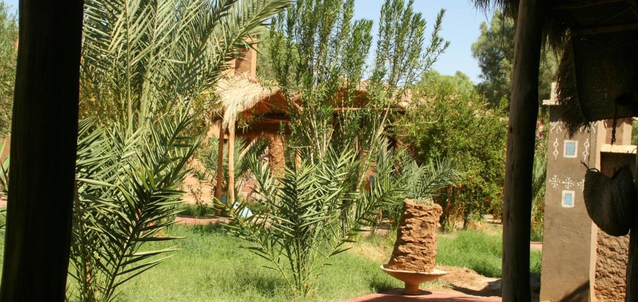 Hamada Du Draa Bed & Breakfast M'Hamid Dış mekan fotoğraf