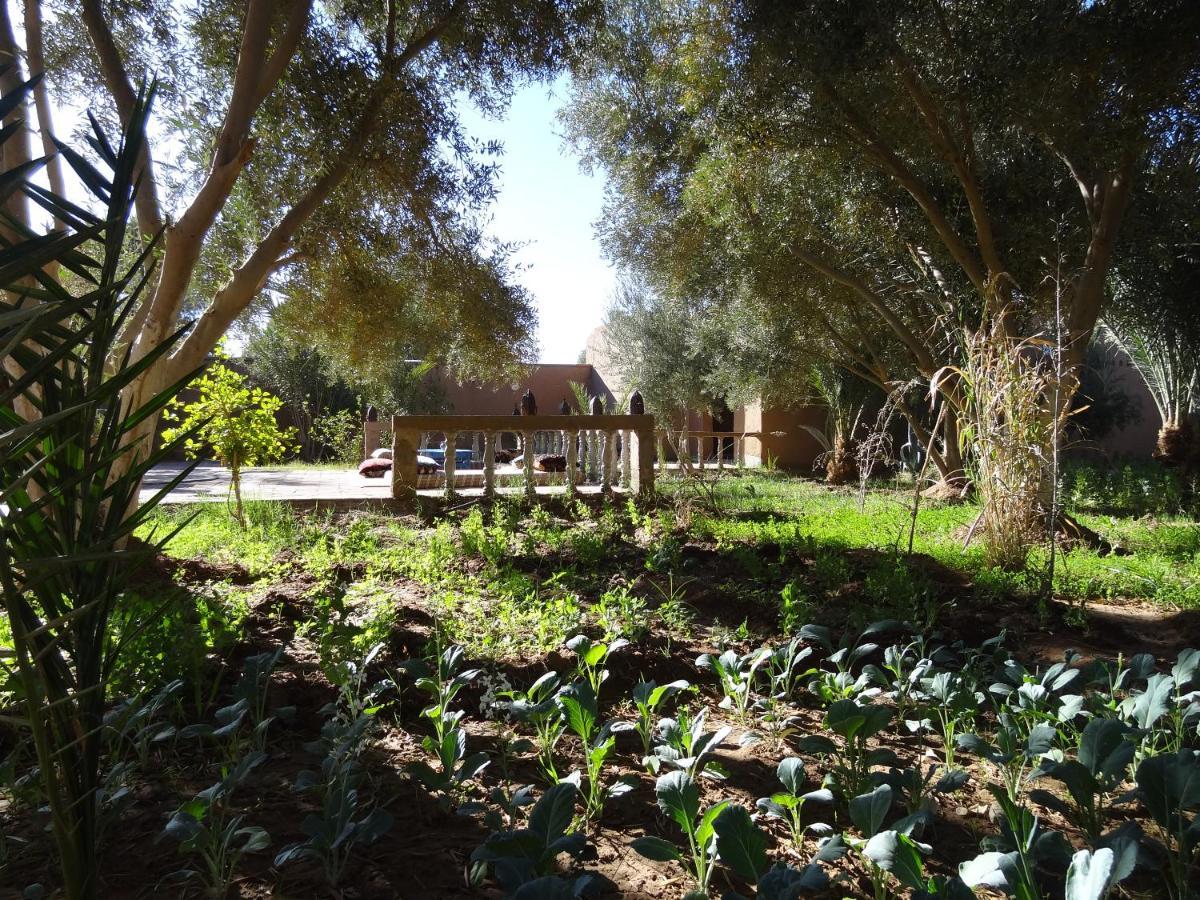 Hamada Du Draa Bed & Breakfast M'Hamid Dış mekan fotoğraf
