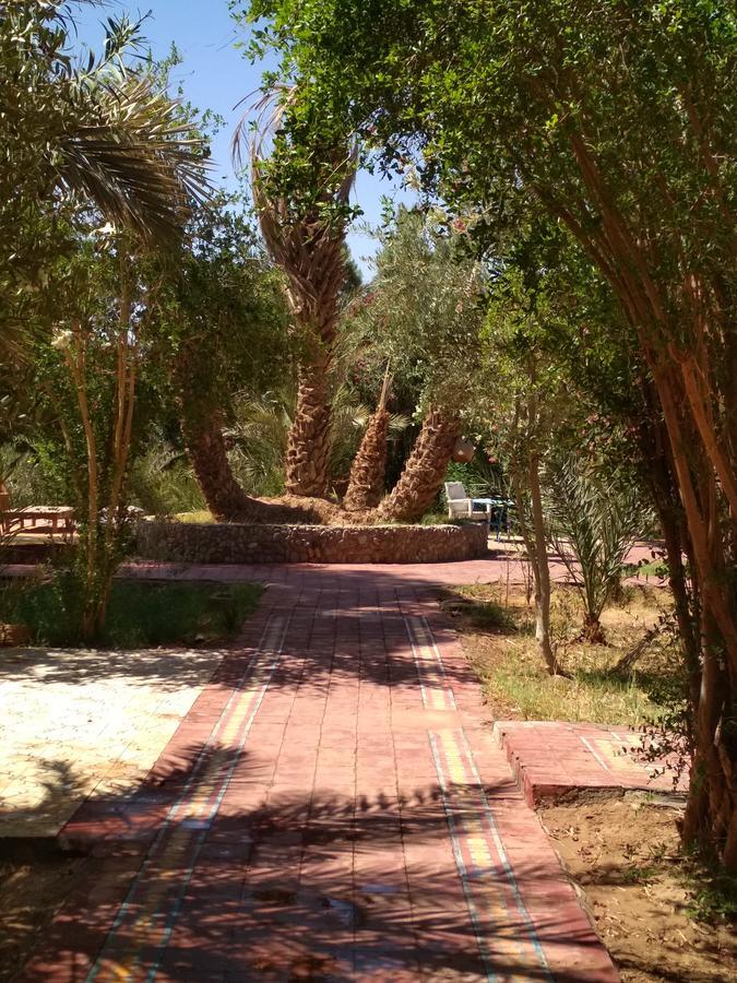 Hamada Du Draa Bed & Breakfast M'Hamid Dış mekan fotoğraf